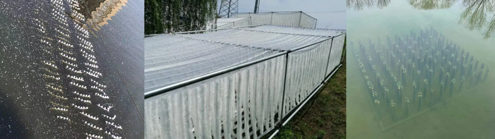 石家庄淞禹环保工程有限公司