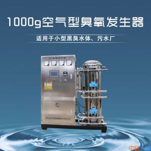 1000g水冷空气源臭氧发生器污水用