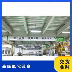 冠宇环保臭氧设备  氧化提升水质 一站式解决