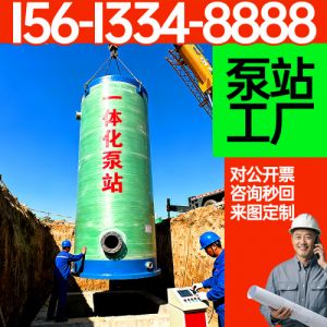一体化泵站 广场排水地埋式一体化泵站 精细服务